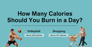 How Many Calories Should I Burn a Day? Your Ultimate Guide to Calorie Management